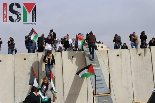 Des Palestiniens et des activistes internationaux franchissent le mur de séparation grâce à des passerelles de fortune (vidéo)